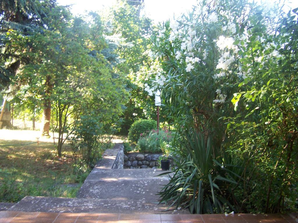 Vila Popovski Ljubaništa 部屋 写真