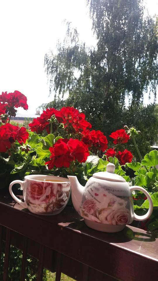Vila Popovski Ljubaništa エクステリア 写真